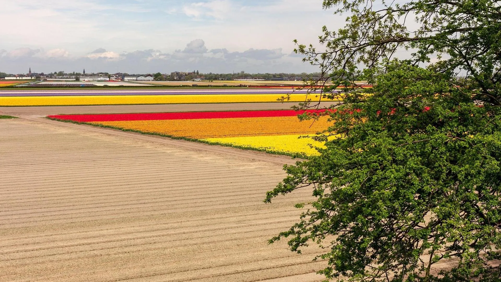Bed&Breakfast Ineke en John Hoofddorp Nederland